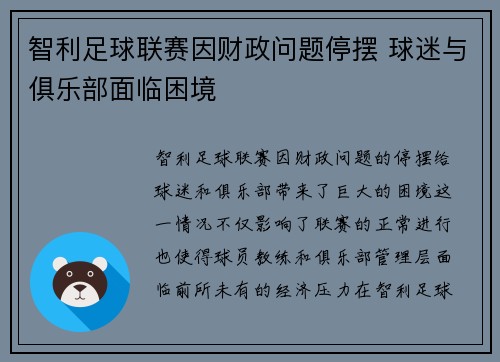 智利足球联赛因财政问题停摆 球迷与俱乐部面临困境